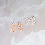 Calanthe Cubic Studs.