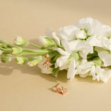 Lilivere Cubic Earrings