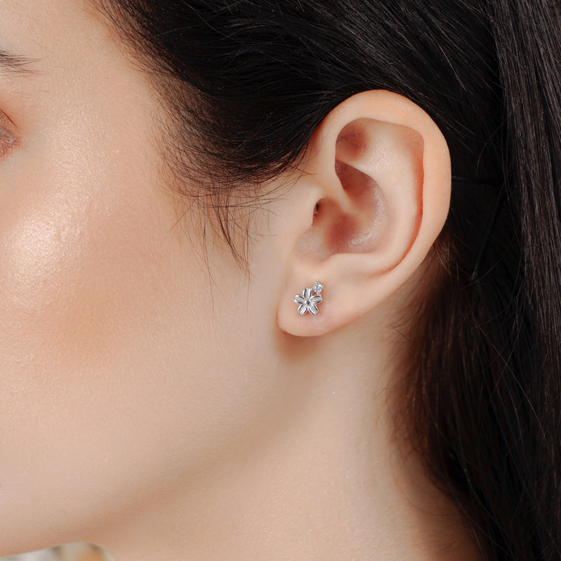 Calanthe Cubic Studs.