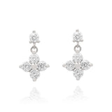 Lilivere Cubic Earrings